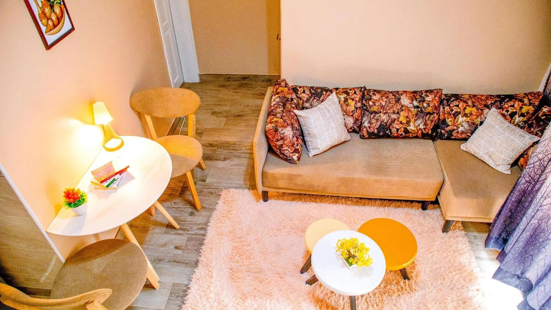 Cozy & Modern Apartment Kampala Uganda